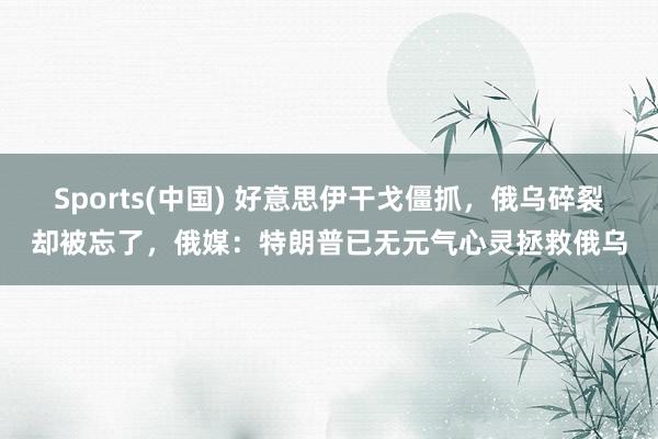 Sports(中国) 好意思伊干戈僵抓，俄乌碎裂却被忘了，俄媒：特朗普已无元气心灵拯救俄乌