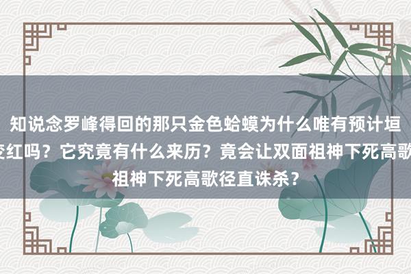 知说念罗峰得回的那只金色蛤蟆为什么唯有预计垣奥之主就变红吗？它究竟有什么来历？竟会让双面祖神下死高歌径直诛杀？