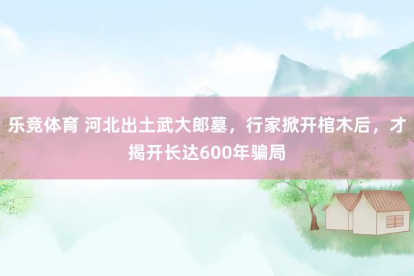 乐竞体育 河北出土武大郎墓，行家掀开棺木后，才揭开长达600年骗局