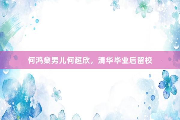何鸿燊男儿何超欣，清华毕业后留校