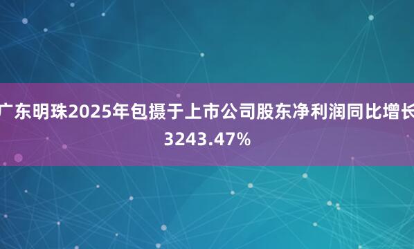 广东明珠2025年包摄于上市公司股东净利润同比增长3243.47%