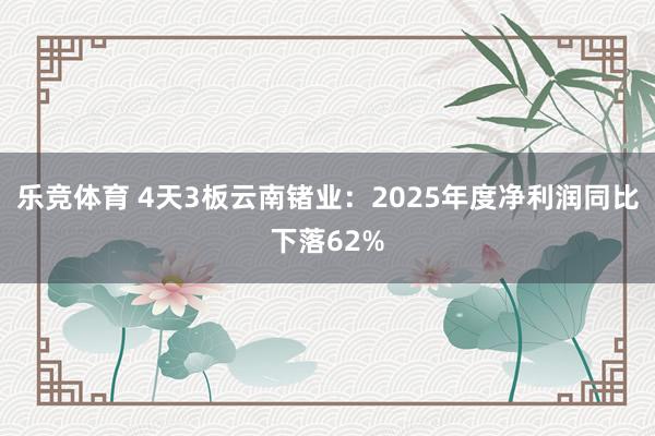 乐竞体育 4天3板云南锗业：2025年度净利润同比下落62%